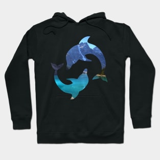 dolphin Hoodie